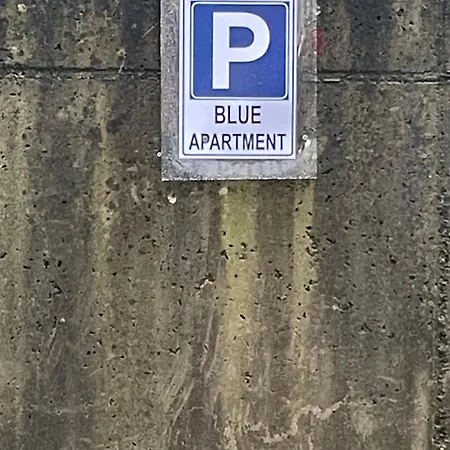 Blue * Arezzo